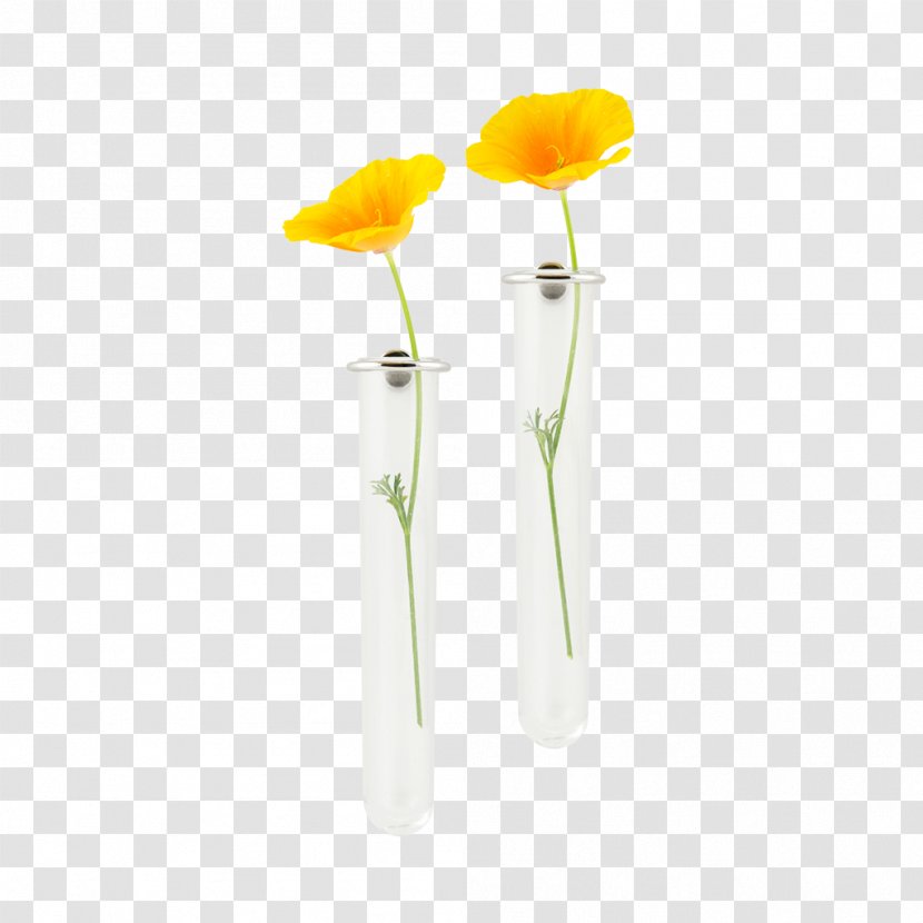 Cut Flowers Vase Petal - Plant Stem - Holding An Eraser Whiteboard Transparent PNG