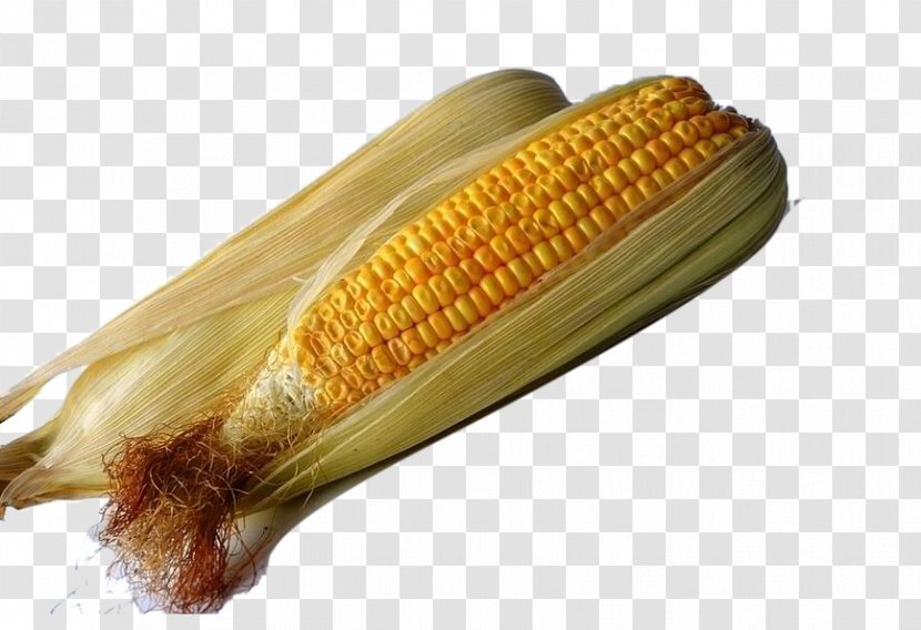 Organic Food Maize Corn Syrup Genetically Modified Organism Monsanto - Fresh Sweet Transparent PNG