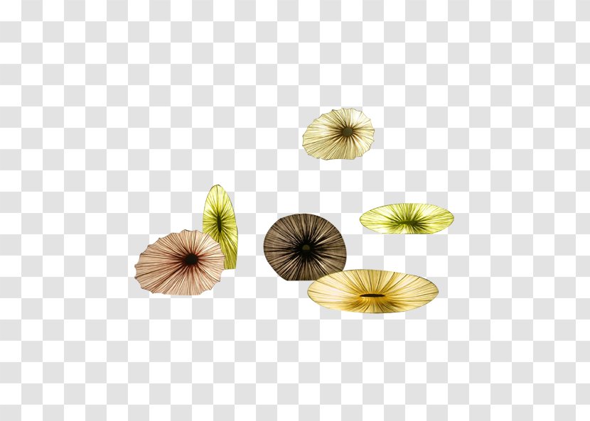 Paper Download Flower Google Images - Yellow - Colored Suit Transparent PNG
