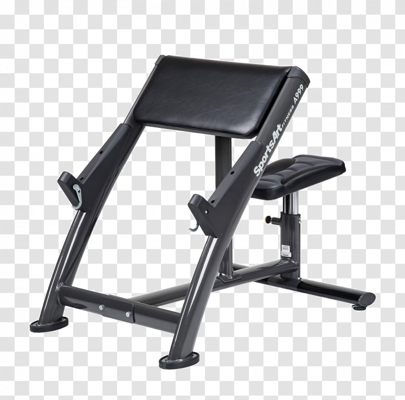 Bench Exercise Equipment Fitness Centre Strength Training Physical - Curl Transparent PNG