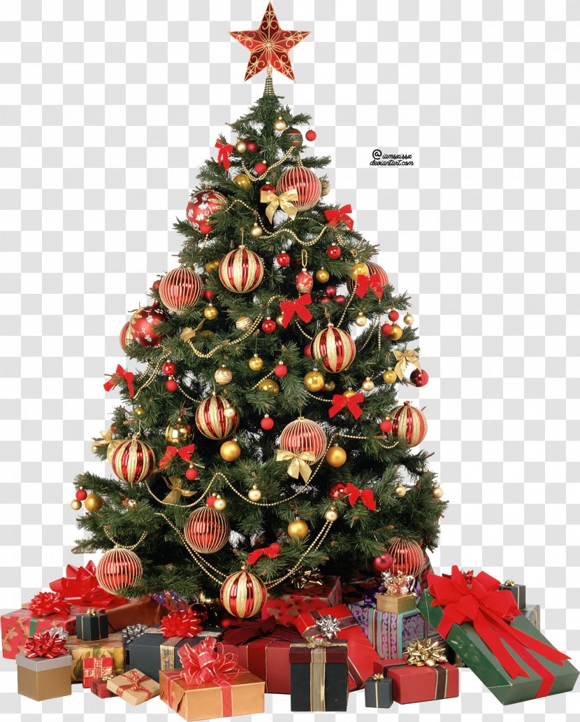 Christmas Tree Clip Art - Picture Transparent PNG