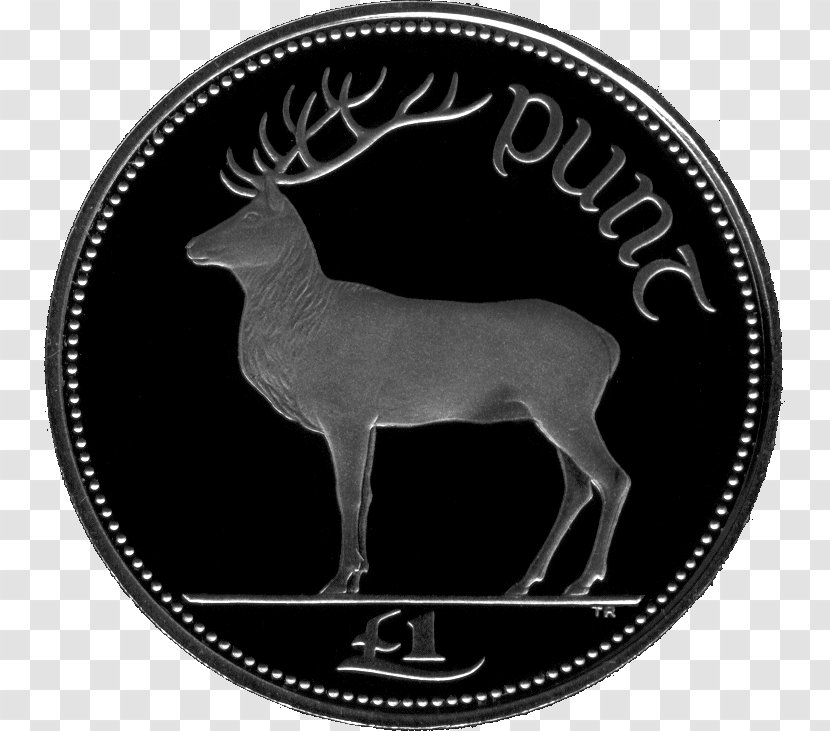 Ireland Irish Pound One Euro Coin - Silver Transparent PNG