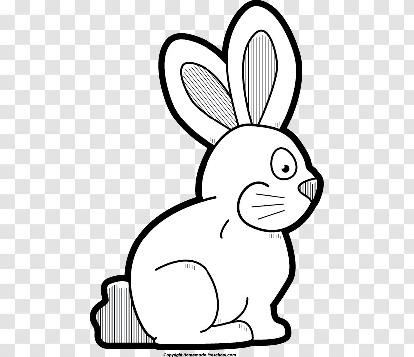 Domestic Rabbit Hare Chocolate Chip Cookie White Clip Art - Black - Bunny Transparent PNG