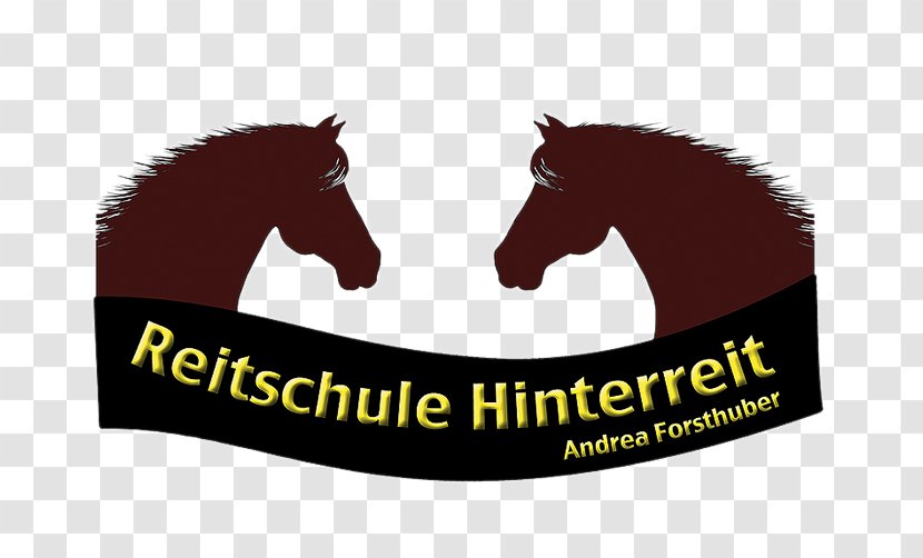 Reitschule Hinterreit, Andrea Forsthuber Mustang Vetterbach Equestrian Anthering - Horse Like Mammal Transparent PNG