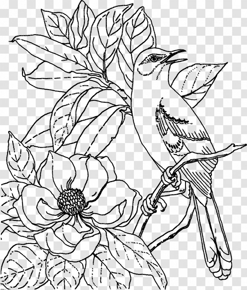 State Bird Coloring Book Nest Adult - Plant Transparent PNG
