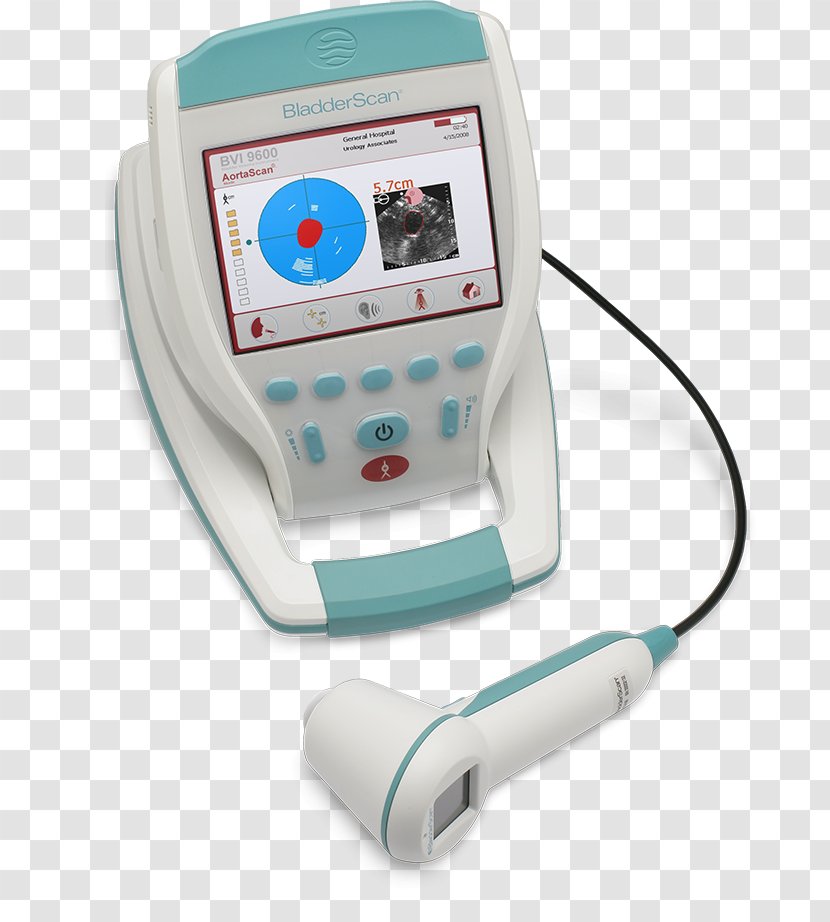 Urinary Bladder British Virgin Islands Ultrasonography Ultrasound Information - Medical Transparent PNG
