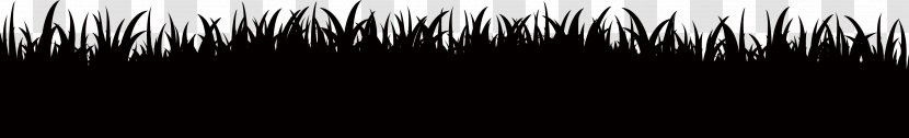 Black And White Darkness Sky Wallpaper - Halloween Transparent PNG