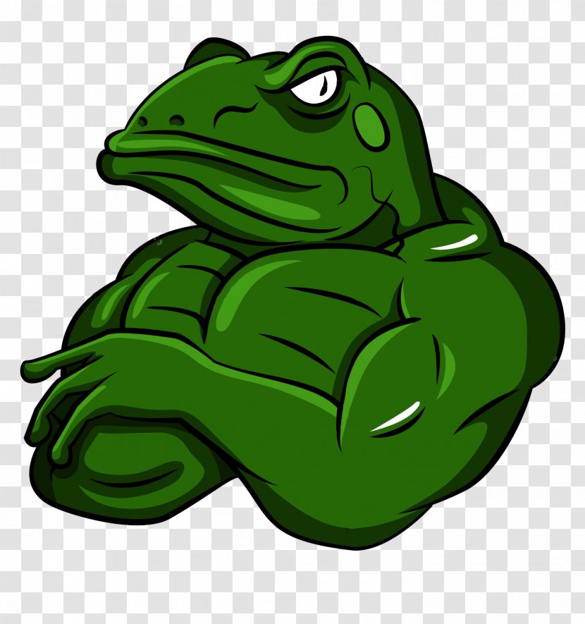 Frog Cartoon - Amphibian Transparent PNG