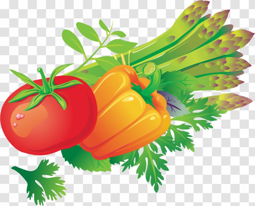 Tomato Vegetable Euclidean Vector - Concepteur - Tomatoes Vegetables Material Transparent PNG