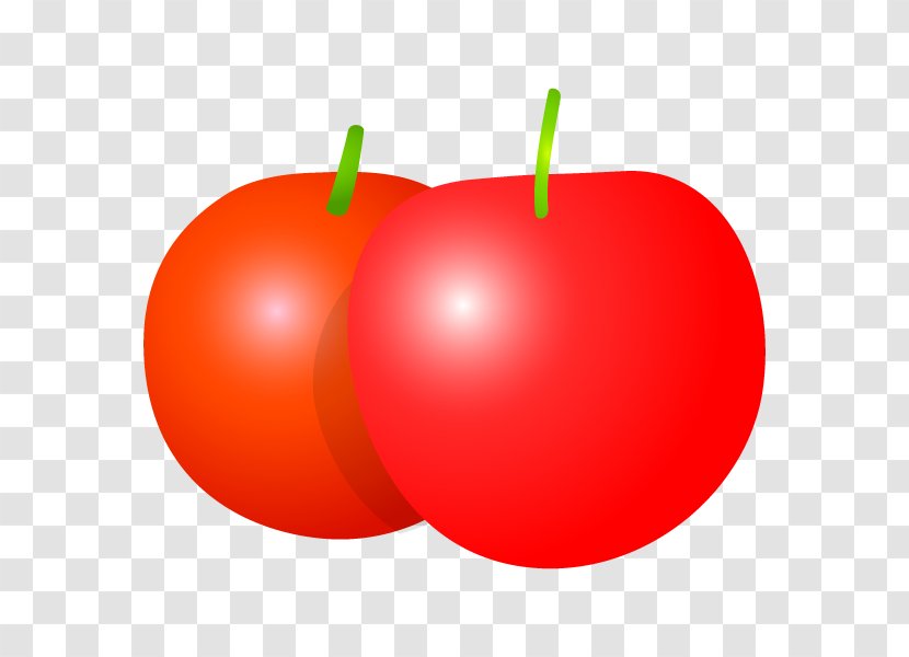 Tomato Natural Foods Apple RED.M - Redm Transparent PNG