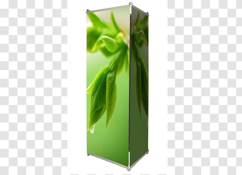 Web Banner Roll-up Advertising Rectangle - Plant - Roll Up Banners Transparent PNG