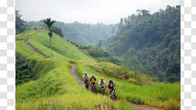 Ubud Sanur, Bali Mount Batur Villa Hotel - Highland Transparent PNG