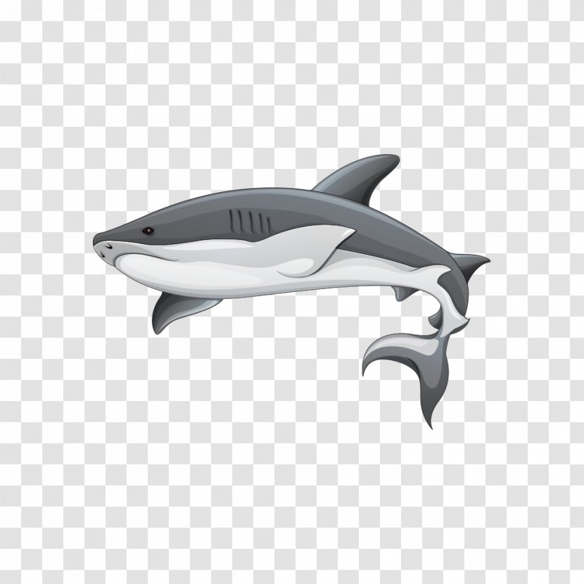 Great White Shark Illustration - Fish Transparent PNG