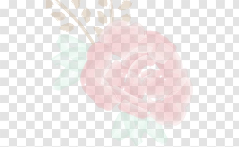 Garden Roses Cabbage Rose Pink M Petal Peony - Rtv Transparent PNG