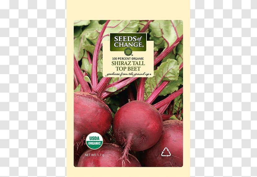Chard Organic Food Beetroot Radish - Herb - Vegetable Transparent PNG