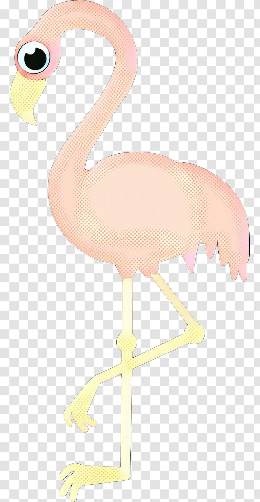 Pink Flamingo - Greater - Stork Flightless Bird Transparent PNG