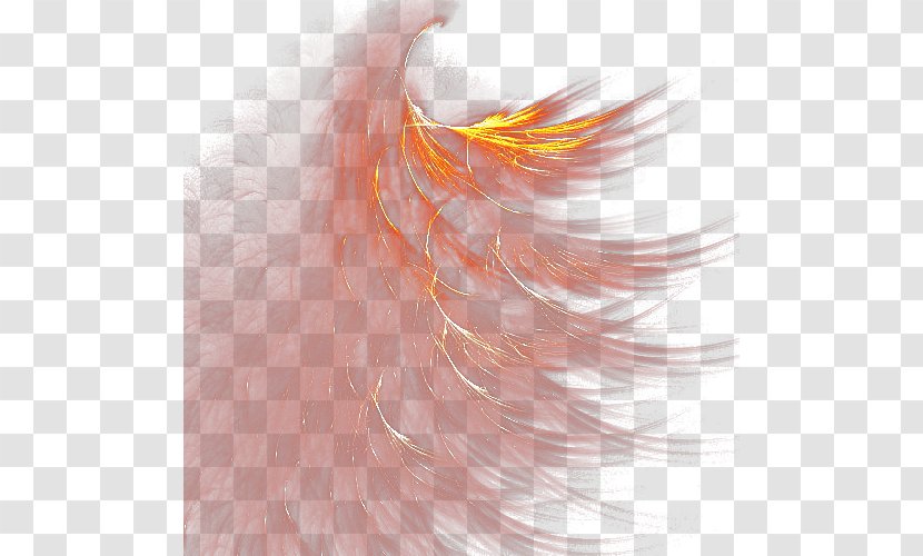 Feather Clip Art - Photography - Feathers Transparent PNG