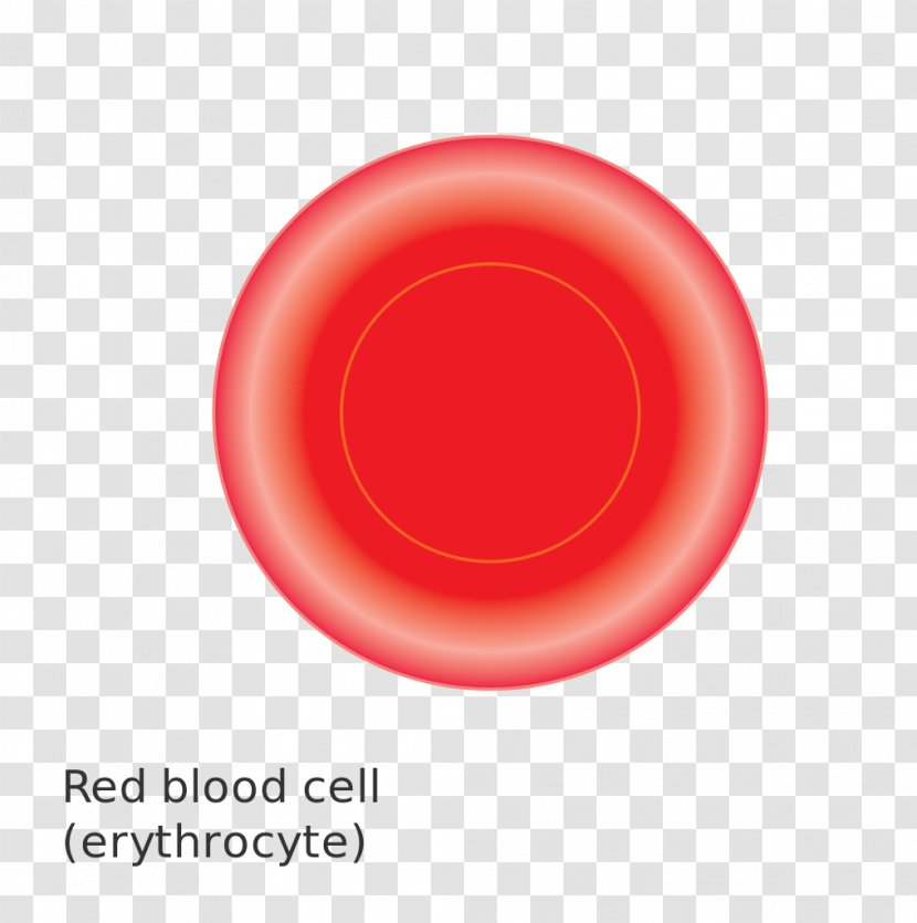 Red Blood Cell - Cancer Cartoon Transparent PNG