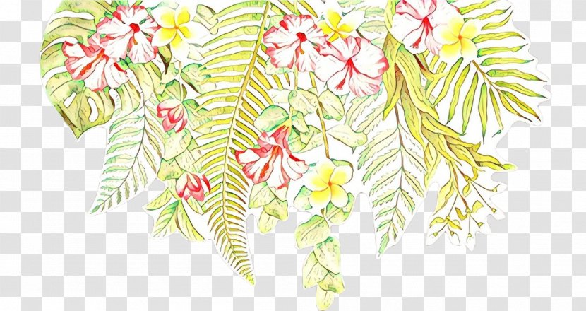 Floral Petal - Plant Stem - Vascular Flower Transparent PNG