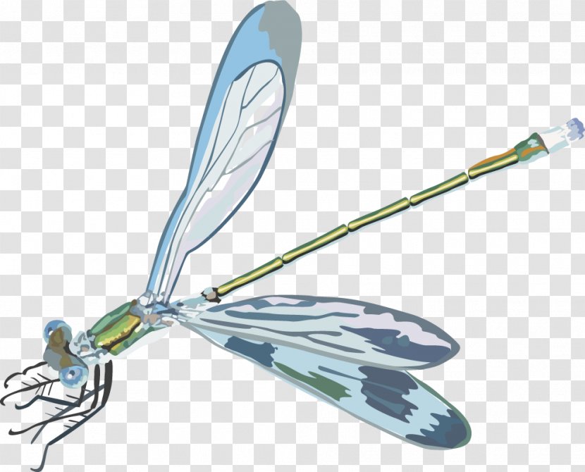 Insect Euclidean Vector Clip Art - Dragonfly Transparent PNG