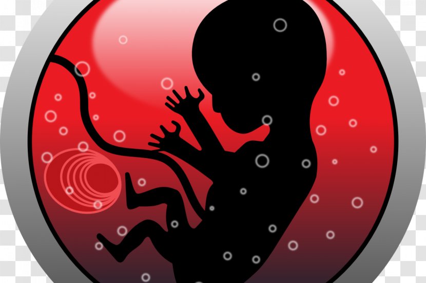 Human Embryogenesis Fetus Uterus Clip Art - Flower - Amar Vector Transparent PNG