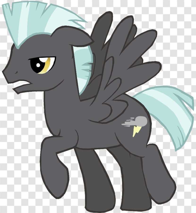 Rarity Rainbow Dash Pony Fluttershy Thunderlane - Carnivoran - Buy 1 Take Transparent PNG