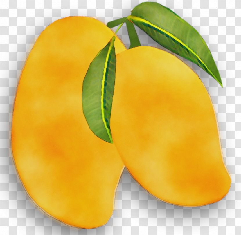 Mango Mangifera Indica Transparency Clip Art - Tree - Ataulfo Transparent PNG