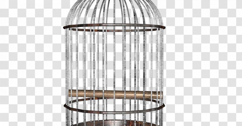 Birdcage Parrot Clip Art - Drawing - Bird Cage Transparent PNG