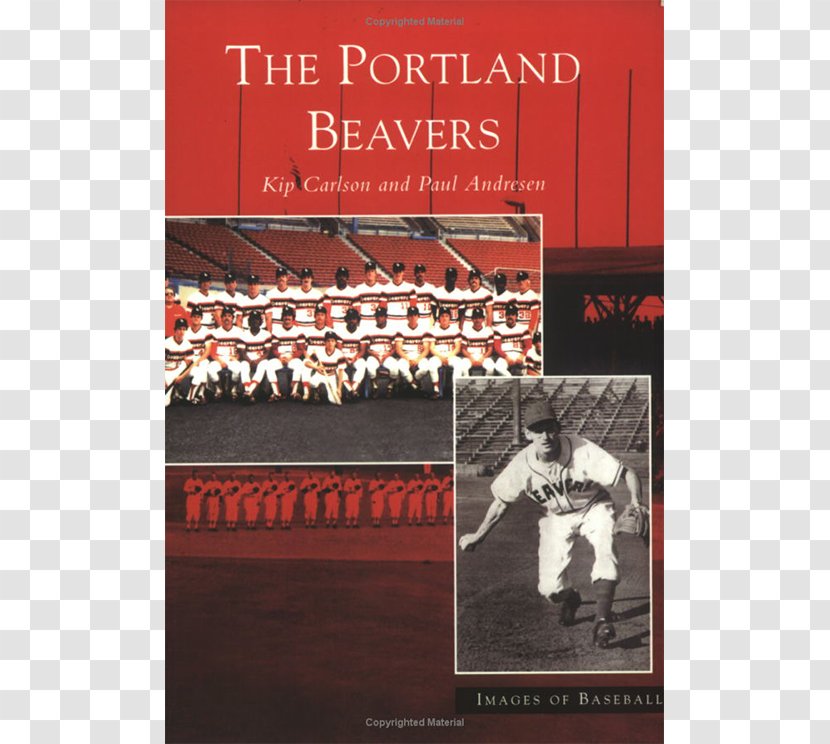 The Portland Beavers Baseball Pacific Coast League - Oregon State Transparent PNG