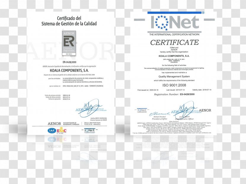 ISO 9001 Quality Management System International Organization For Standardization Certification 14000 - Iso - Business Transparent PNG