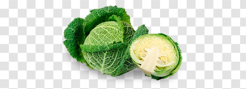 Savoy Cabbage Vegetable Capitata Group Variety Sauerkraut - Food Transparent PNG