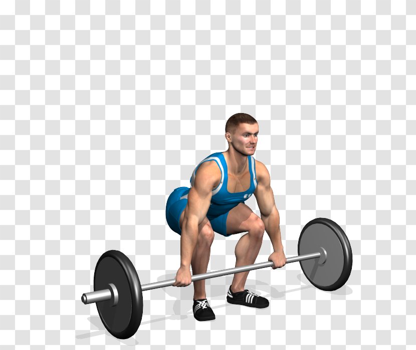 Barbell Weight Training Physical Exercise Muscle Fitness - Cartoon Transparent PNG