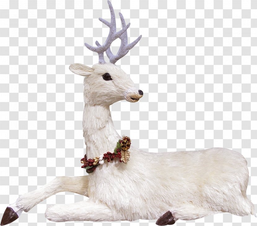 Reindeer - Antler - White Goat Transparent PNG