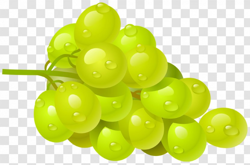Common Grape Vine Wine Clip Art - Fruit - Grapefruit Transparent PNG