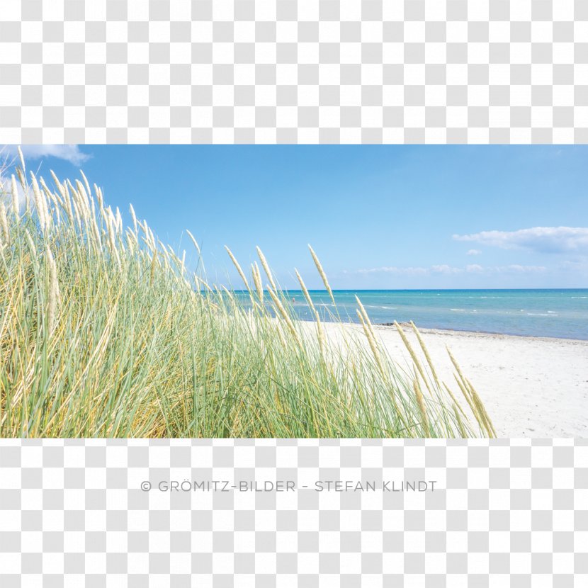 Lensterstrand Dune Calendar Coil Binding Beach - Water Resources - Strand Transparent PNG