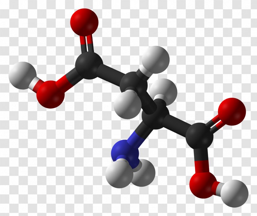 Amino Acid Molecule Chemistry Alanine - Protein - Bodybuilders Transparent PNG