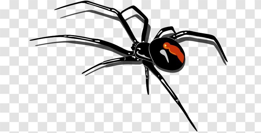 Redback Spider Clip Art - Arachnid - Cartoon Transparent PNG