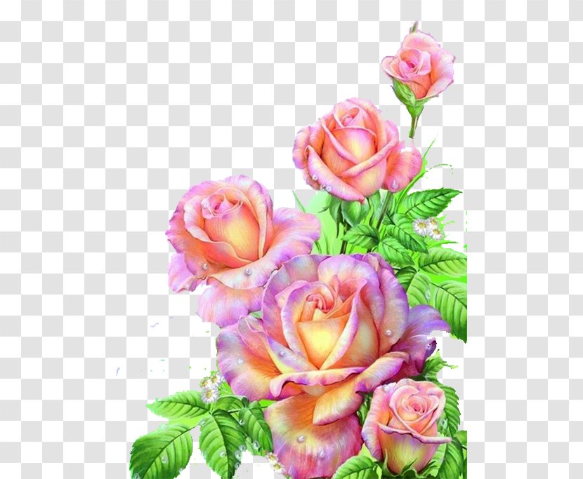 Painting Flower Floral Design Art - Annual Plant - Pink Rose Transparent PNG
