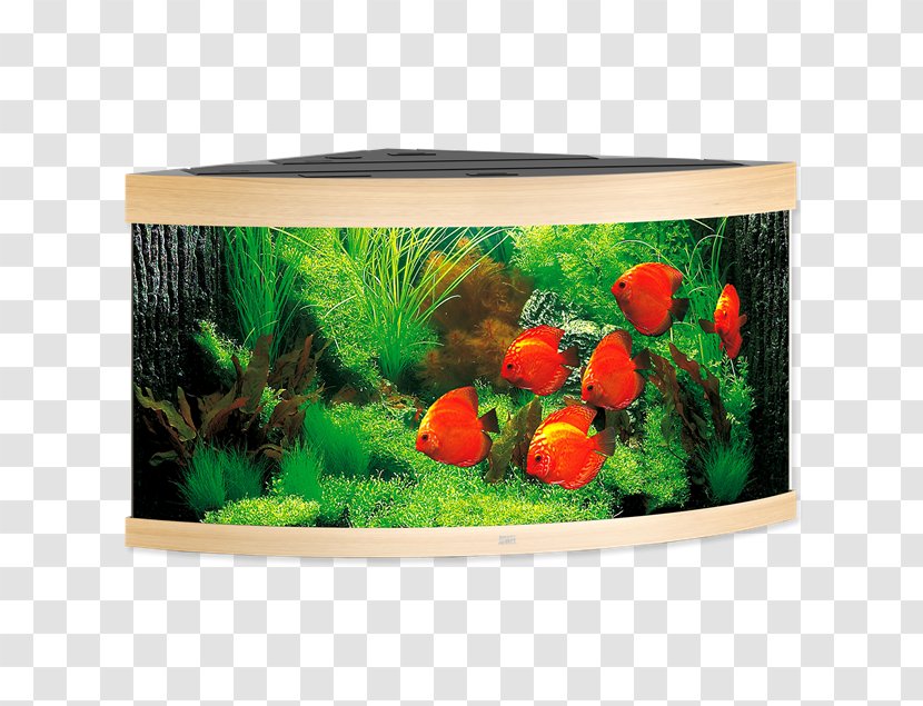 Tropical Aquariums Trigon Heater Sump - Glass Transparent PNG
