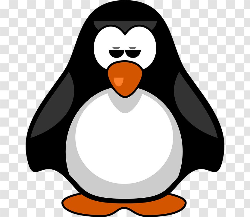 Penguin Bird Art Clip - Royaltyfree Transparent PNG