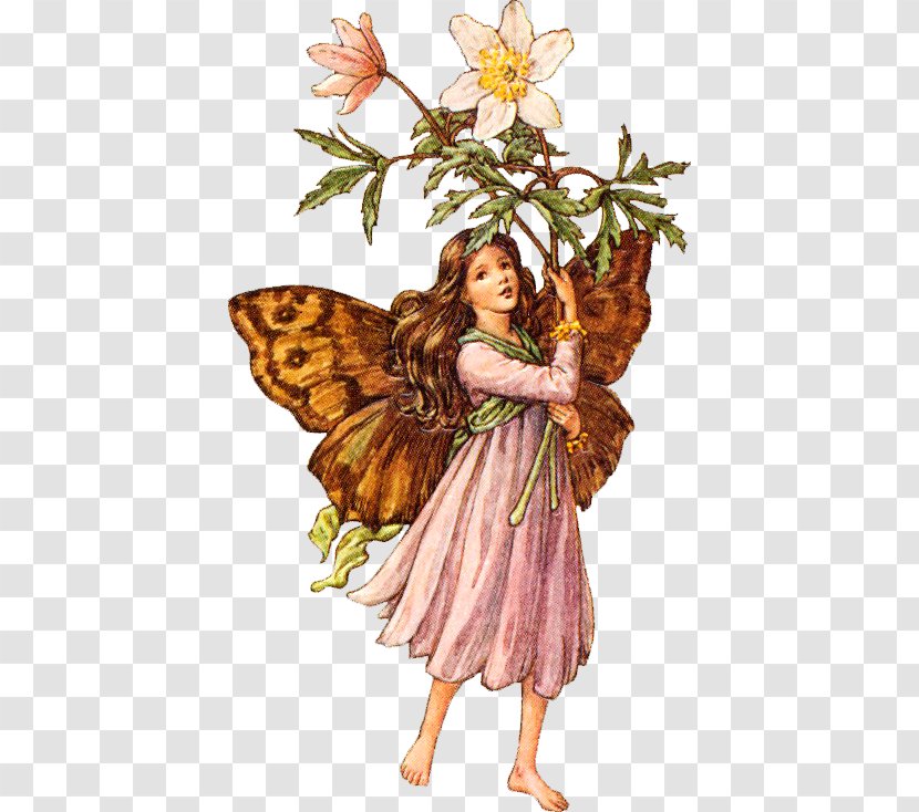 Fairy Harry Potter Flower Fairies Of The Summer Goblin Transparent PNG