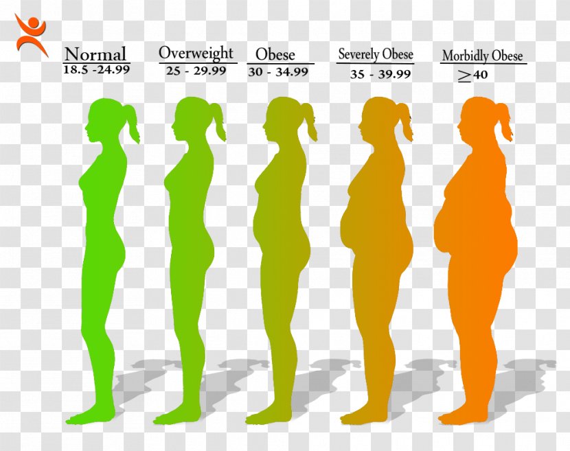 Obesity Body Mass Index Health Disease Weight - Fat Man Transparent PNG