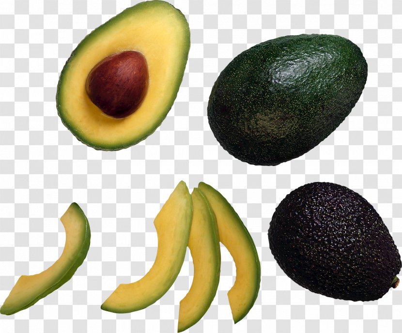 Hass Avocado Food Smoothie Fruit Vegetable - Organism Transparent PNG