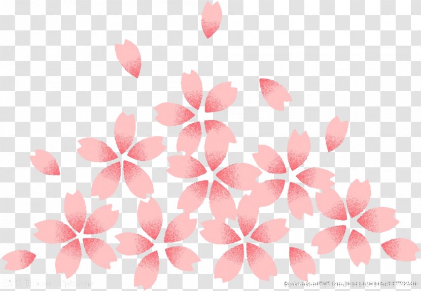 Cherry Blossom - Symmetry - Blossoms Transparent PNG
