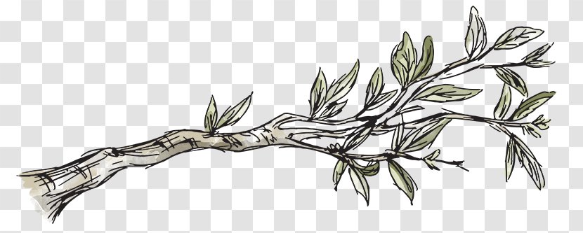 Twig Leaf Plant Stem Weapon Line Art - Family Tree Ideas Transparent PNG