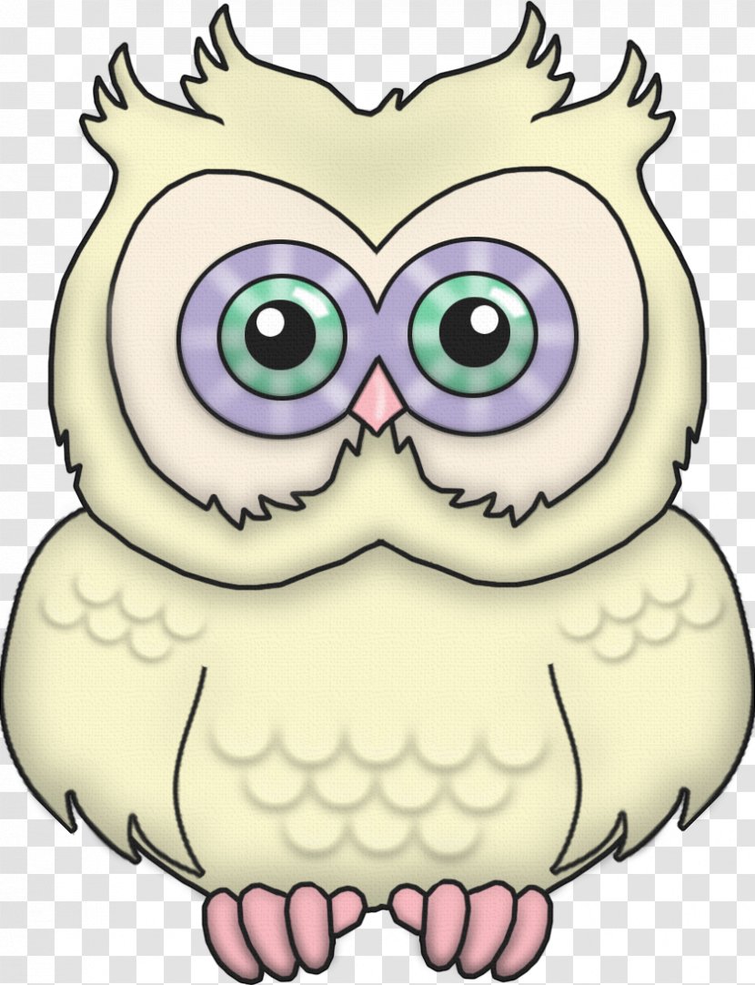 Snowy Owl Bird Clip Art - Face Transparent PNG