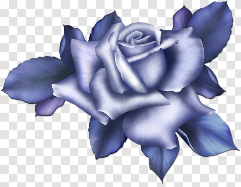 Beach Rose Blue Flower Color - Petal Transparent PNG