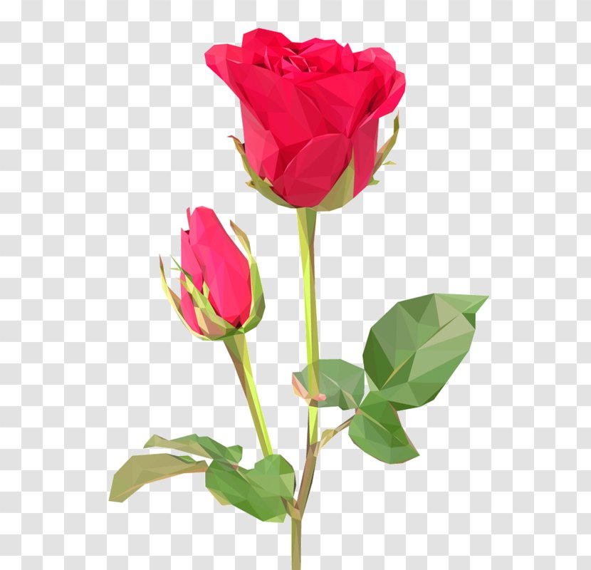 Rose Flower Bouquet Desktop Wallpaper Stock Photography - Plant Stem Transparent PNG