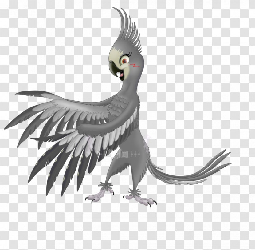 Normal Grey Cockatiel Parrot Rio Fan Art - Bird Of Prey Transparent PNG