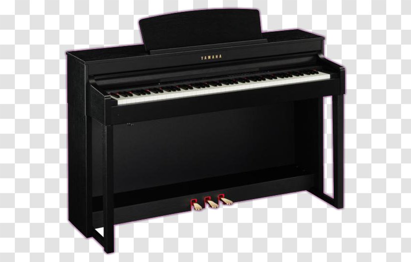 Digital Piano Casio - Cartoon - GP-300 BK AP 650 MBK Electric PianoYamaha Transparent PNG